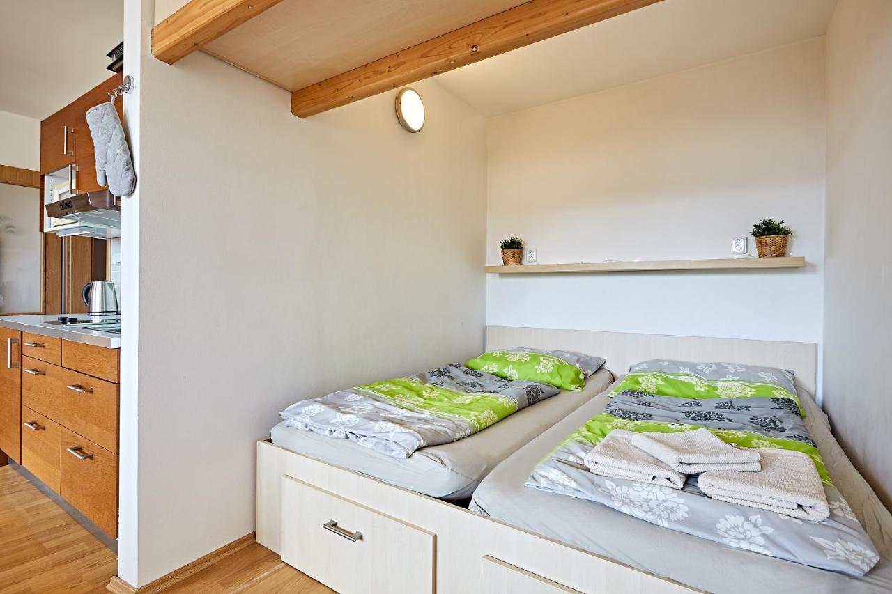 Apartman Klinovec 365 Loučná pod Klínovcem Extérieur photo