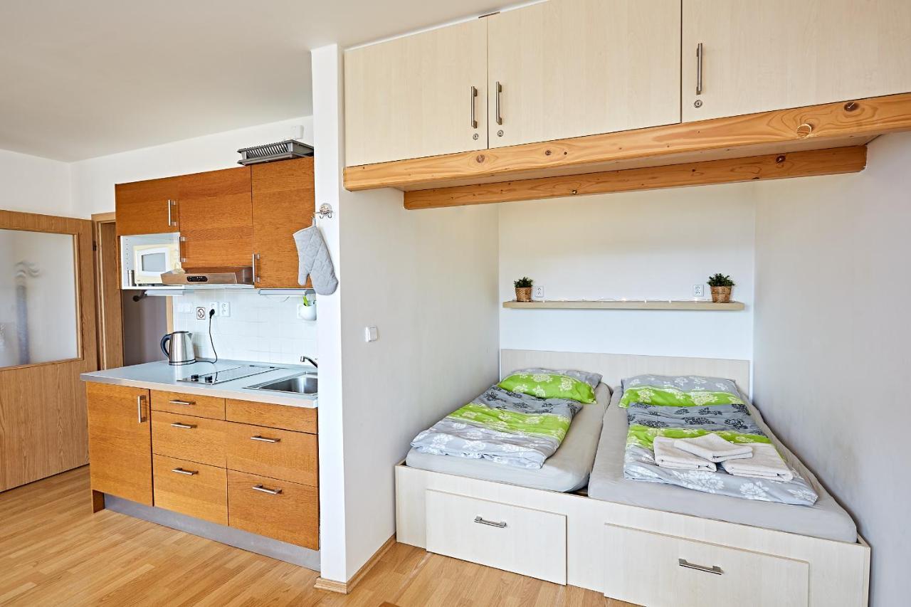 Apartman Klinovec 365 Loučná pod Klínovcem Extérieur photo